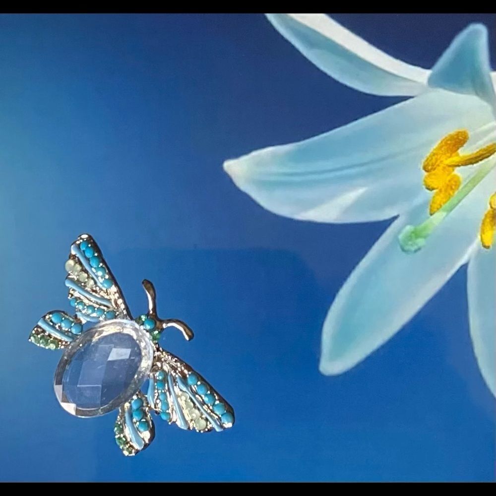 𝅺JELLY Belly butterfly brooch